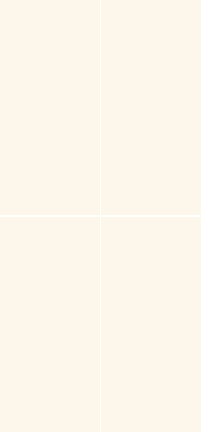 一石多面图